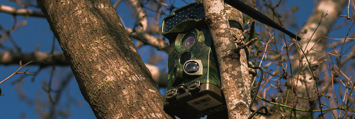 Koje su koristi od korišćenja špijunskih kamera?