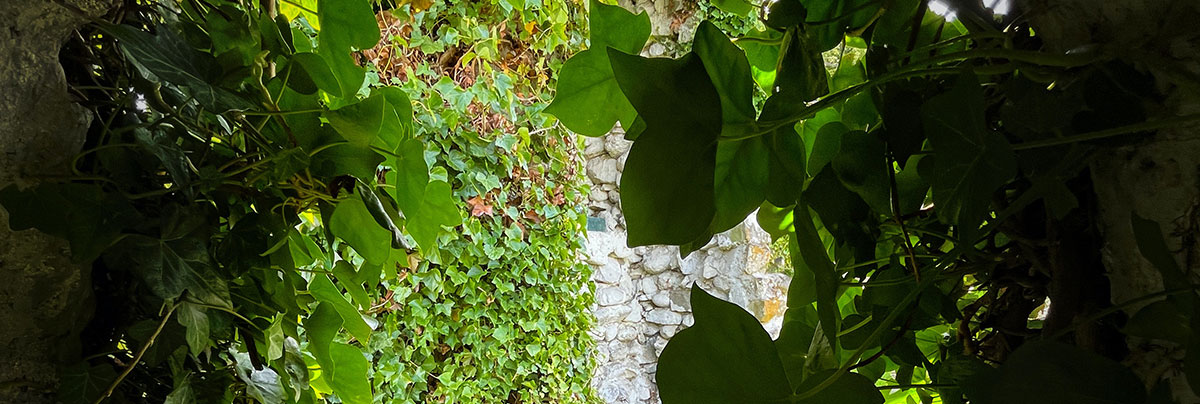 koje su koristi od koriscenja spijunskih kamera